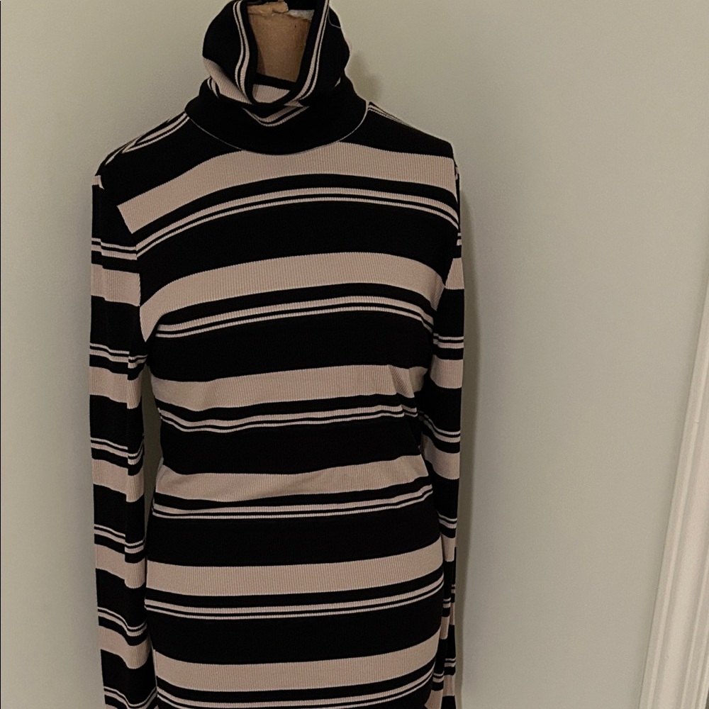 Sanctuary Striped Turtleneck Sweater - Black and Cream